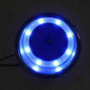 Boat Stainless Steel Drink Holder with Blue Lighting
