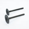 PIT PRO TRAIL DIRT BIKE 125cc 140cc Engine Head Intake Exhaust Valves