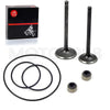 Yamaha Warrior 350 Cylinder Intake Exhaust Valve O-Rings Kit (1987–2004)
