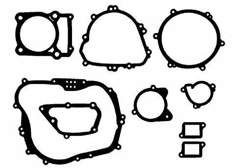 Kawasaki KLX-300R Engine Gasket