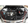 Honda Rubber Front Bumper Hood Damper Buffers
