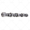Holden Commodore VT-VZ HSV LS1 LS2 LS3 L98 4.2 5.0 Stage 3 Camshaft