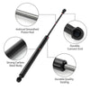 Honda Fit Rear Hatch Lift Supports (2015-2020)