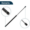 Ford Focus Rear Hatch Lift Supports (2000-2007)