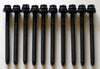 SKODA OCTAVIA VW BORA GOLF BEETLE PASSAT CADDY 1.6 CYLINDER HEAD BOLTS