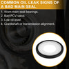 CHEVROLET AVALANCHE Engine Rear Crankshaft Oil Seal