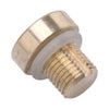 BMW 128i 318i 320i 325Ci Engine Coolant Bleeder Screw (2008-2013)