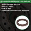 Ford Focus Front Crankshaft Oil Seal (2003-2018)
