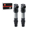 Kawasaki Ninja EX300 Ignition Coil Set (2013–2017)