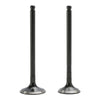 Polaris Ranger Magnum Sportsman Intake Valve (2000-2002)