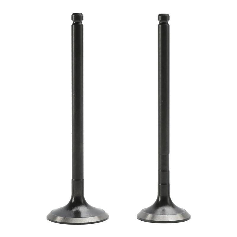 Polaris Ranger Magnum Sportsman Intake Valve (2000-2002)