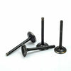 EZGO 4 Cycle Gas Golf Cart Exhaust & Intake Valve Set (1996–2002)