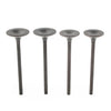 Honda Sportrax TRX400EX Intake & Exhaust Valve Kit (1999-2008)