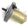 Benelli K2 Naked 50, Pepe 50 Starter (1998-2006)
