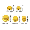 Motorcycle Motorbike Screw Nut Bolt Cap Decoration Gold Tone 1 Set Screw Cap