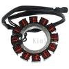 Harley-Davidson XL883N XL1200C XL1200X XL883L Magneto Stator Coil (2007-2023)
