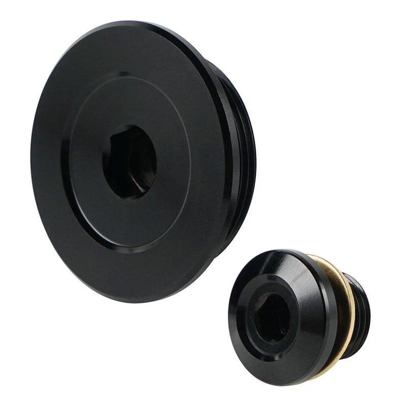 Suzuki DR-Z 400E / 400S / 400SM CNC Billet Engine Timing Plugs (2000-2024)