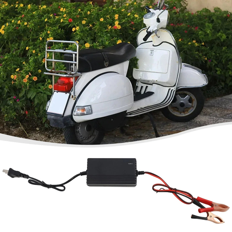 Various Models 12V Lead-Acid Battery Charger