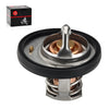 Honda Foreman Rubicon 500 TRX500FA 4x4 Thermostat w/ O-Ring (2001–2014)