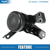 Toyota Vios Front Right Engine Motor Mount (2008-2013)