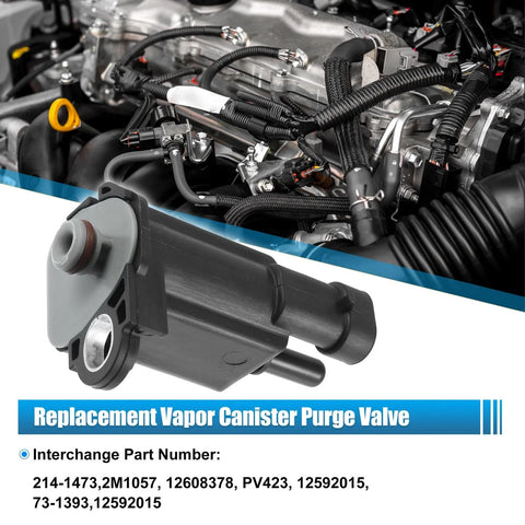 Chevrolet Buick Vapor Canister Purge Valve EVAP Solenoid