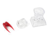 Dental Use Dental Crystal Base Hard Plastic Tooth Molar Teaching Tool Kit