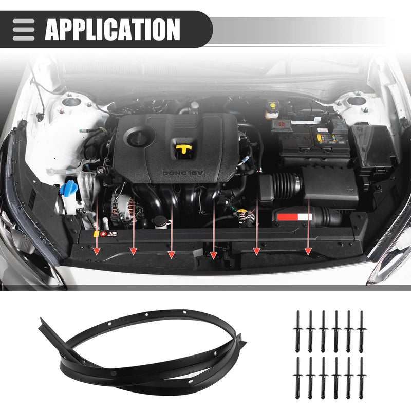 Dodge Challenger Front Bumper Hood Seal with Rivets (2008 - 2023)