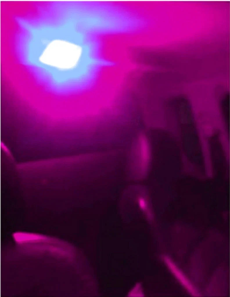 Ford Falcon Purple LED Interior Dome Light (EA- FG)