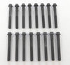 CAMRY T100 HILUX TACOMA 4RUNNER LANDCRUISER CYLINDER HEAD BOLTS