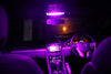 Holden VE Commodore Purple LED Interior Light Conversion Kit (2006-2013)