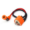 Arctic Cat 250 Ignition Coil Spark Plug CDI Box 2x4 (1999–2005)