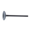 Honda Recon Bronco Engine Intake Valve (2002–2018)