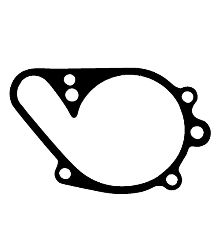 Kawasaki Vulcan NV1500 / VN1600 Waterpump Gasket (2003–2008)