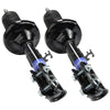 Holden Commodore VR VS VT VX VU VY 2 Front Struts (1993–2004)