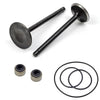 Yamaha Kodiak 400 & Big Bear 400 Cylinder Intake Valve (1993–2012)