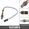 BMW M5 O2 Oxygen Sensor Downstream (2013 - 2016)