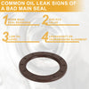 Hyundai Elantra 2011-2020 Crankshaft Oil Seal (2011-2020)