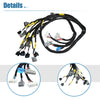 Honda Civic B16 B18 D16 OBD2 Engine Wiring Harness (2001-2005)
