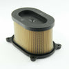 Hyosung GT650R GT250 GT250R GT650 Air Filter Element (2003-2018)