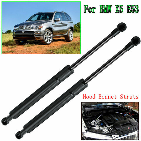 2PCS Hood Bonnet Hydraulic Struts Lift Support Rod For