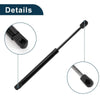 Chevrolet Malibu Rear Hatch Lift Supports Struts (2008 - 2012)