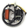 Suzuki LT80 Quadsport Magneto Stator Coil (1987-2006)