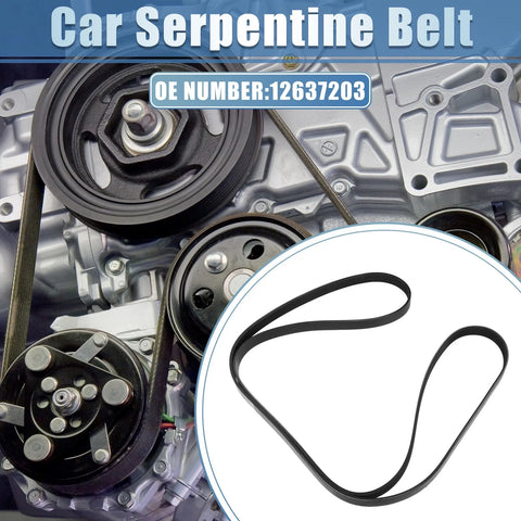 Mazda B3000 3.0L Serpentine Belt (2002-2003)