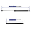 Honda Accord Tailgate Lift Support Struts Gas Spring (2018-2023)
