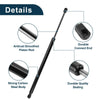 Mazda 6 Hatchback Rear Hatch Lift Supports (2003-2008)
