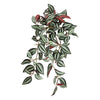 Home Decor 15" Faux Peperomia Watermelon Hanging Plants