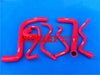 Holden Commodore VT VU VX HSV 44mm Radiator & RED Silicone Hose (1997-2006)