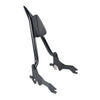 Harley Low Rider S FXLRS 2020-2024 Sissy Bar Passenger Backrest