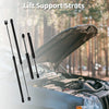 Dodge Intrepid Front Hood & Tailgate Lift Supports Struts Set (1998-2004)