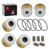 Honda CRF150R / CRF150RB / CRF250R / CRF250X w / O-Ring Spring Oil Filter